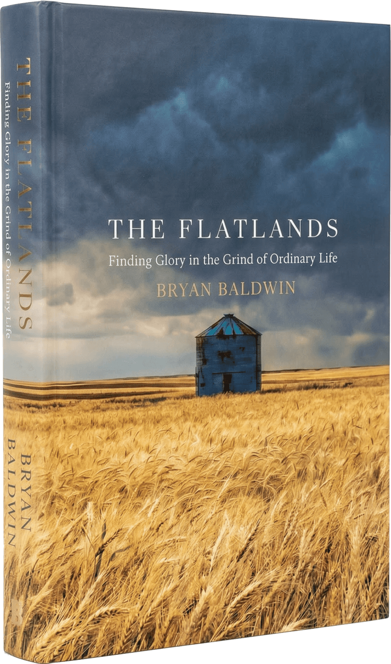 The Flatlands — paperback edition